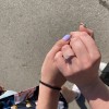 Sophia - Inel de logodnă cu moissanit și pietre laterale pavé